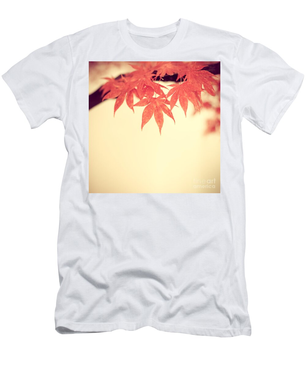Autumn T-Shirt featuring the photograph Beautiful Fall by Hannes Cmarits