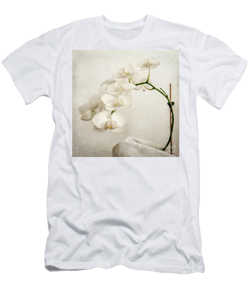 1x1 T-Shirt featuring the photograph Beautiful white orchid II by Hannes Cmarits