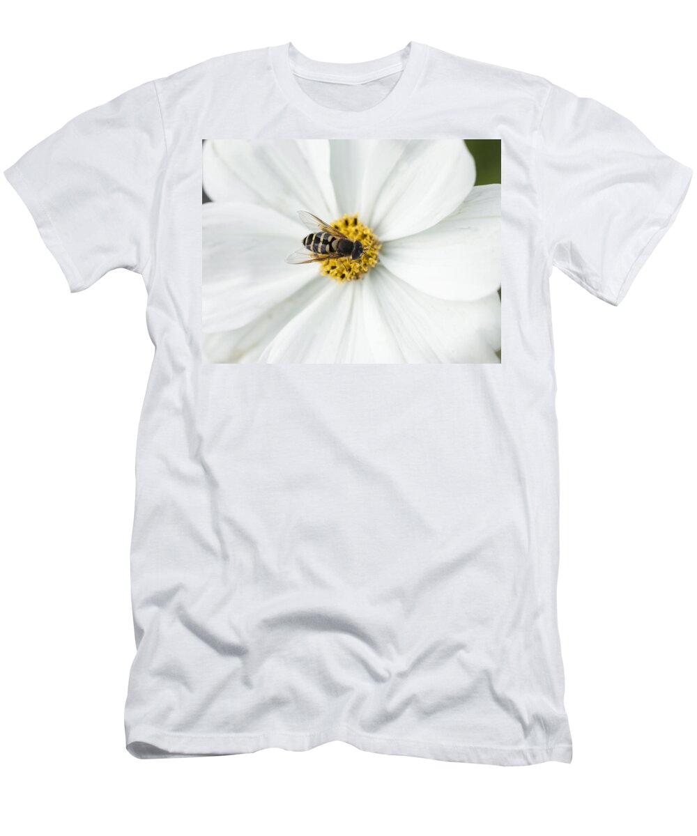 Bee T-Shirt featuring the photograph Beedazel by Tara Lynn