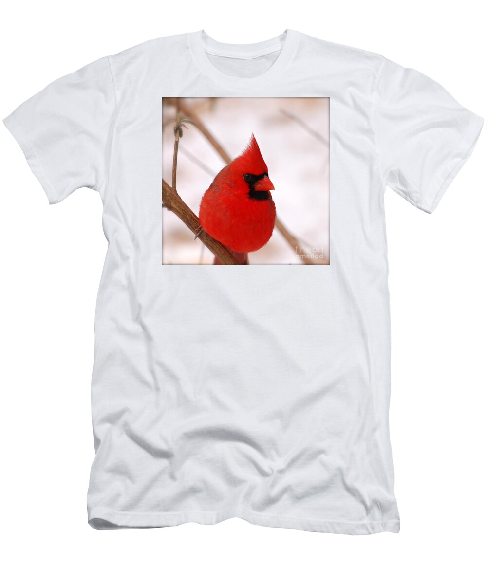 Northern Cardinal T-Shirt featuring the photograph Big Red Cardinal Bird In Snow by Peggy Franz