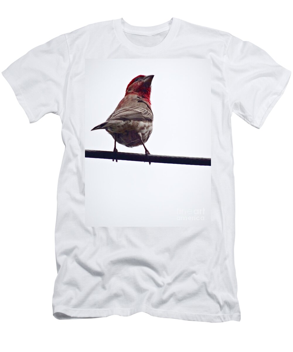 Finch T-Shirt featuring the photograph Bird On a Wire by Christopher Plummer