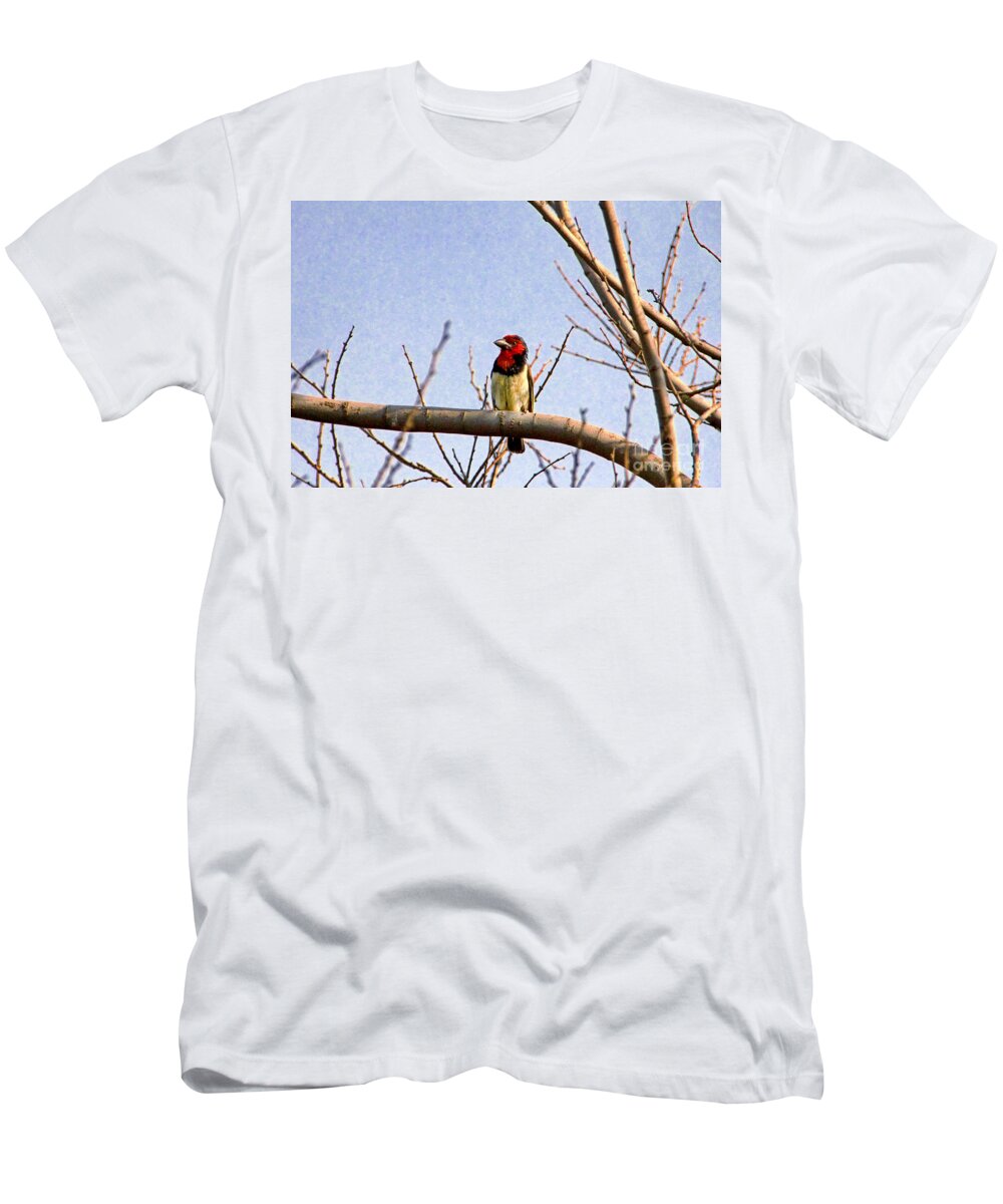 Black-collared Barbet T-Shirt featuring the photograph Black-Colored Barbet-Africa by Douglas Barnard
