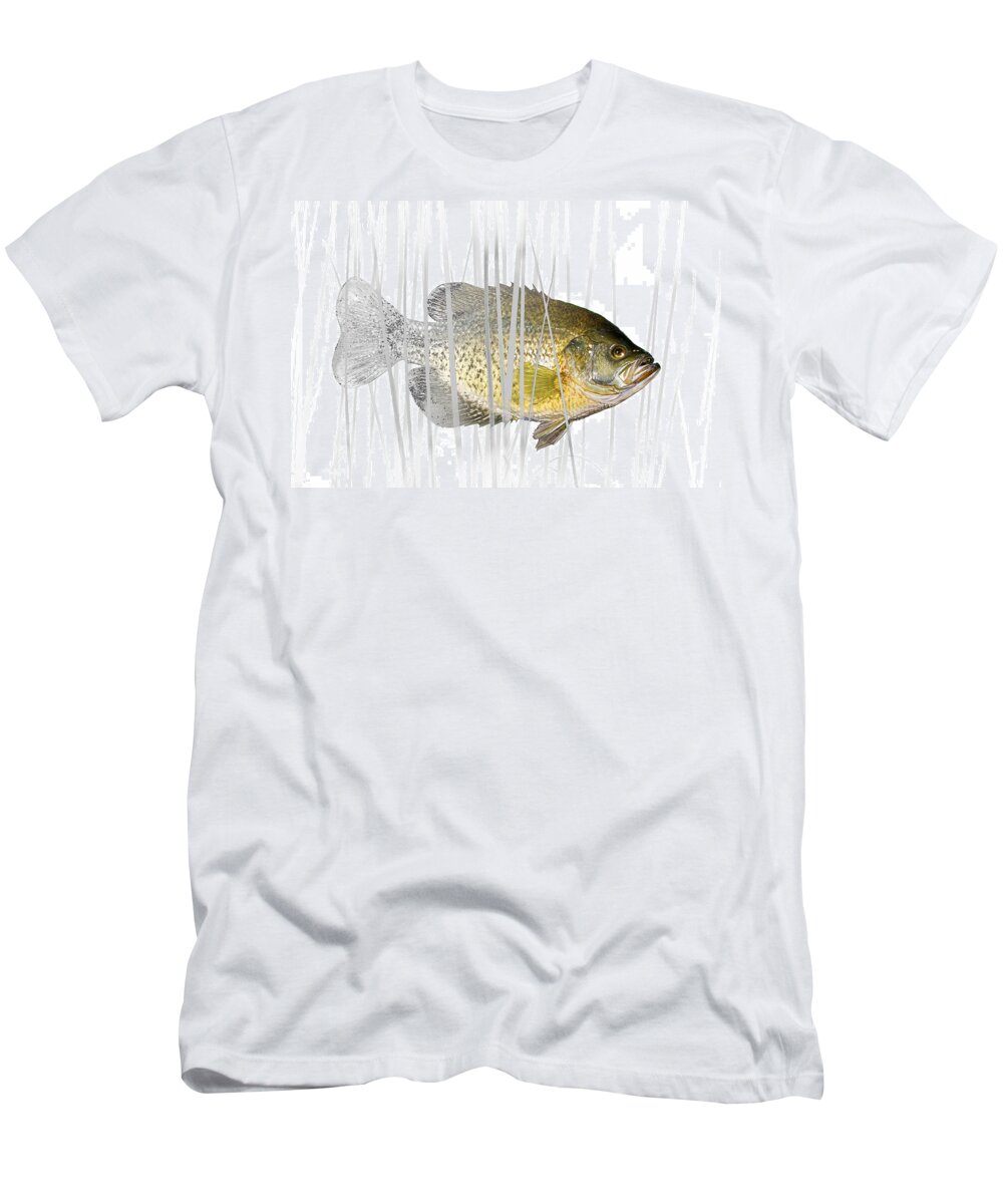 Crappie T-Shirt featuring the photograph Black Crappie Pan Fish in the Reeds by Randall Nyhof