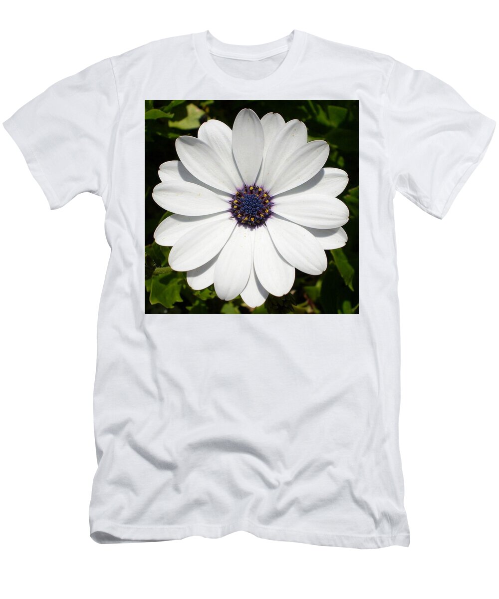 Birthday T-Shirt featuring the photograph Blossoming White Osteospermum by Taiche Acrylic Art