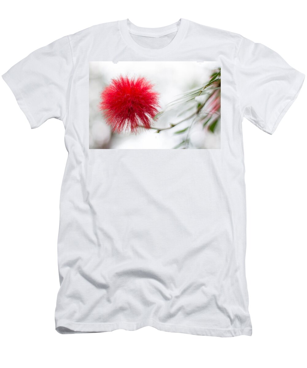 Canada T-Shirt featuring the photograph Botanical Conservatory 6 by Jakub Sisak