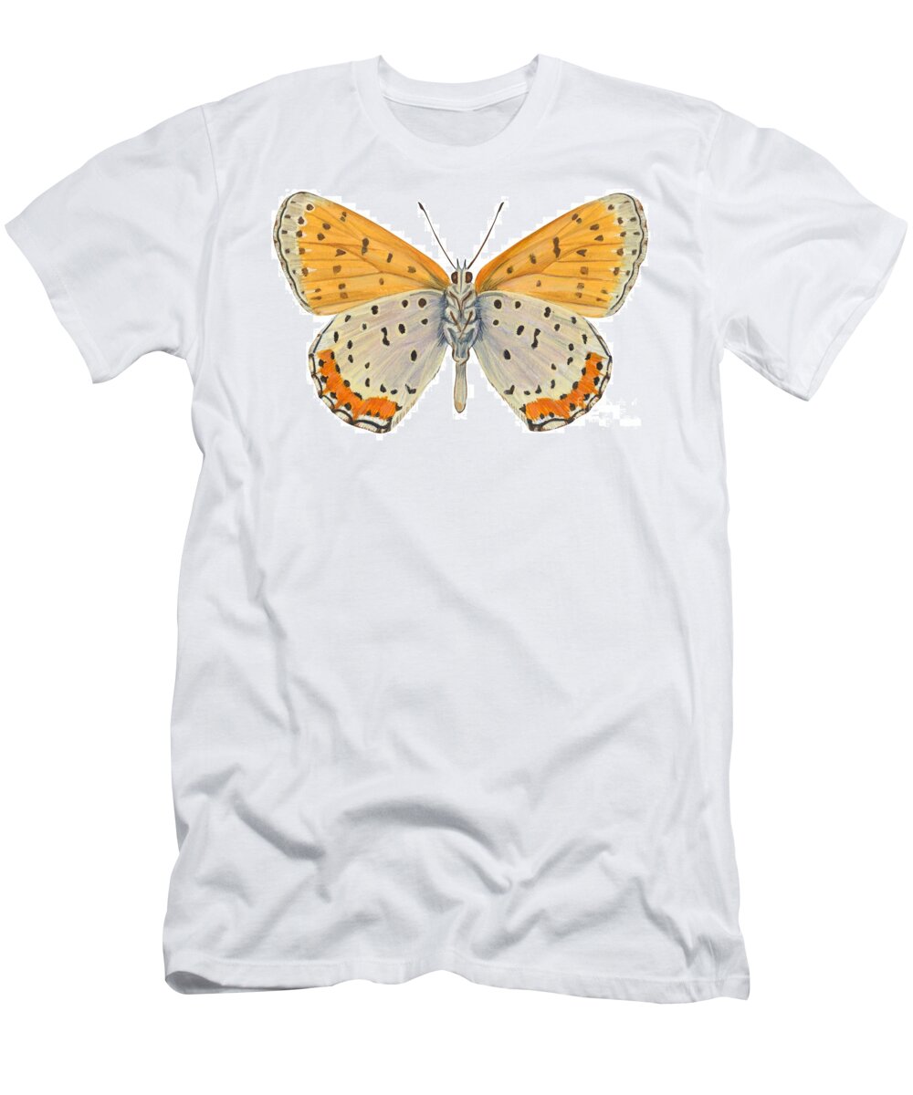 Zoology; No People; Horizontal; Close-up; Full Length; White Background; One Animal; Animal Themes; Nature; Wildlife; Symmetry; Fragility; Wing; Animal Pattern; Antenna; Entomology; Illustration And Painting; Spotted; Yellow; Bronze T-Shirt featuring the drawing Bronze copper butterfly by Anonymous