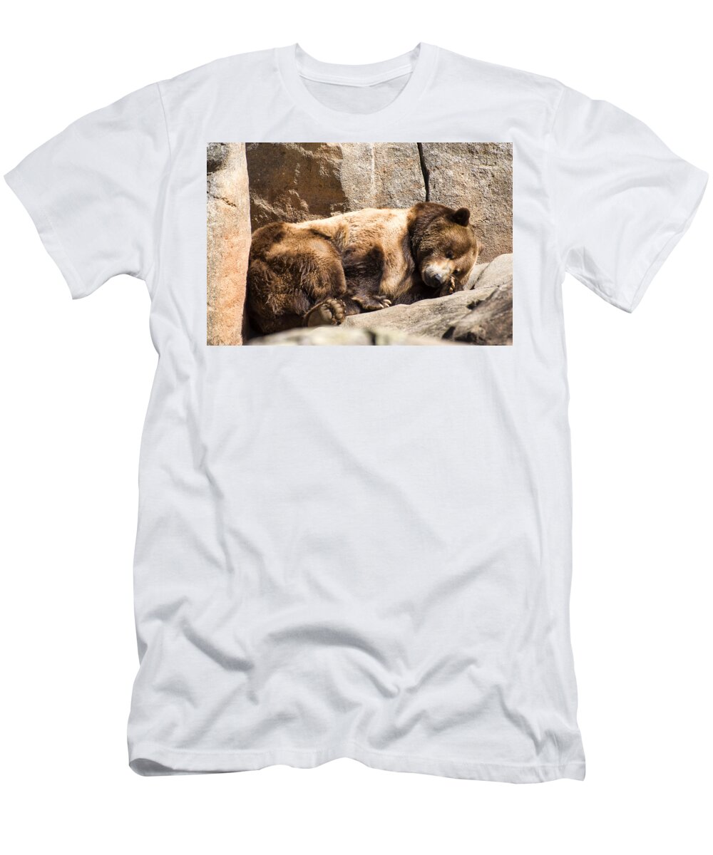 Brown Bear T-Shirt featuring the photograph Brown bear asleep again by Flees Photos