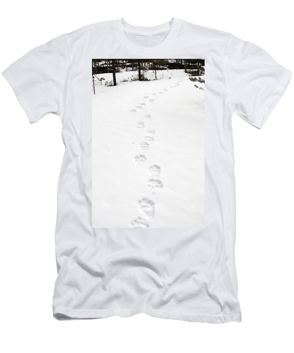 European Brown Bear T-Shirt featuring the photograph Brown Bear Tracks by M. Watson