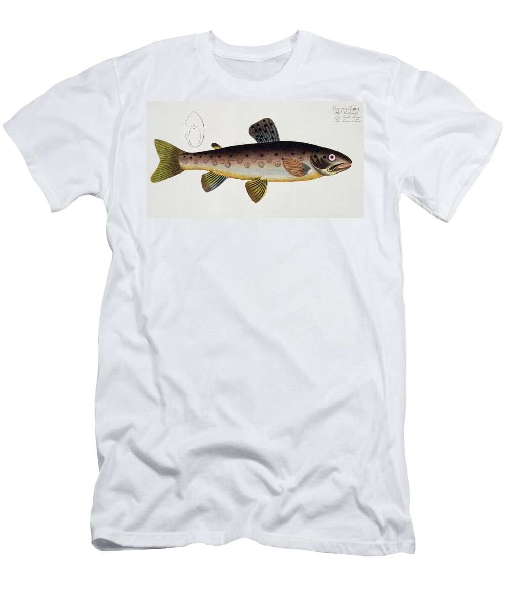 Fish T-Shirt featuring the painting Brown Trout by Andreas Ludwig Kruger
