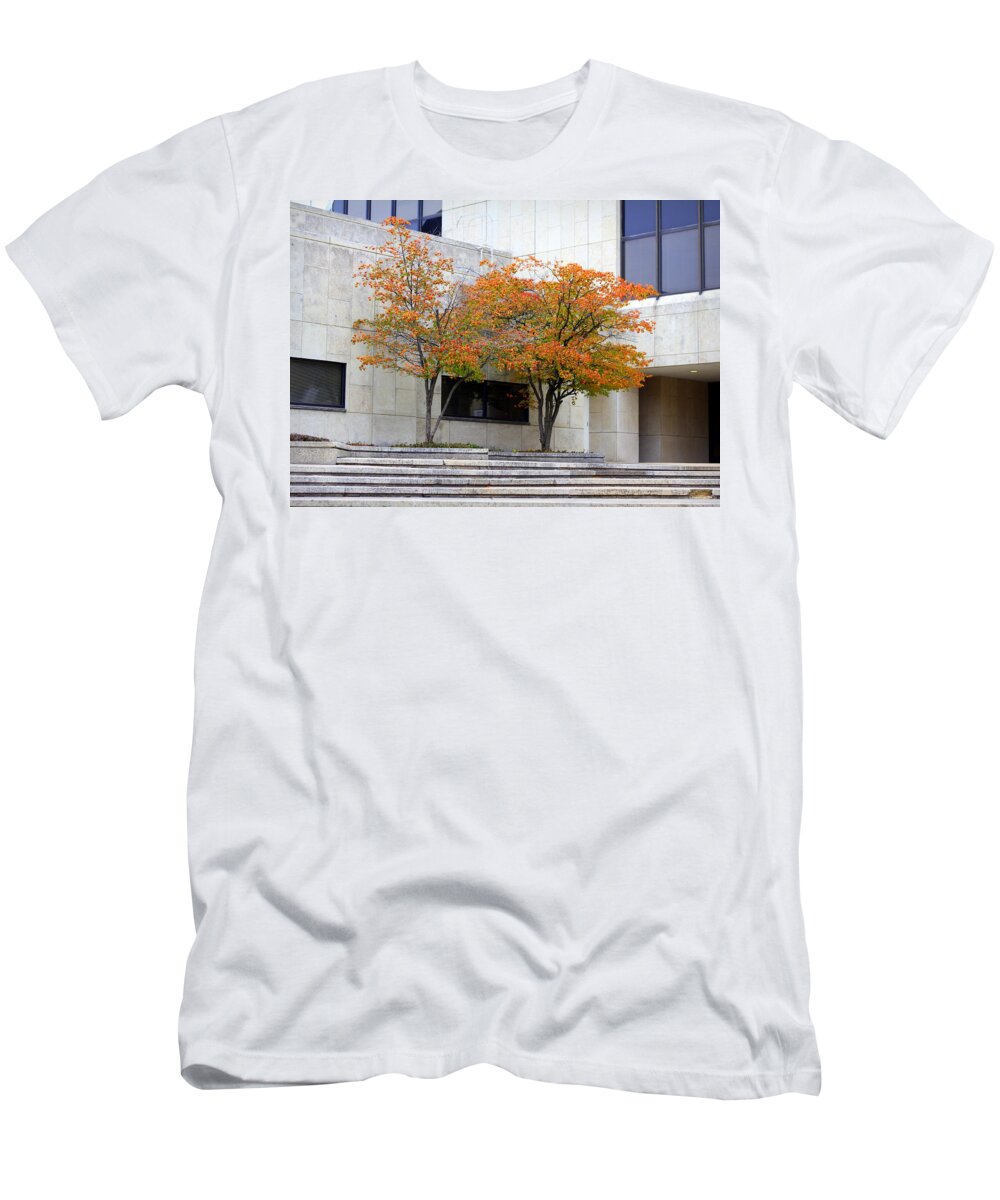 Trees T-Shirt featuring the photograph Burst of Color by Viviana Nadowski