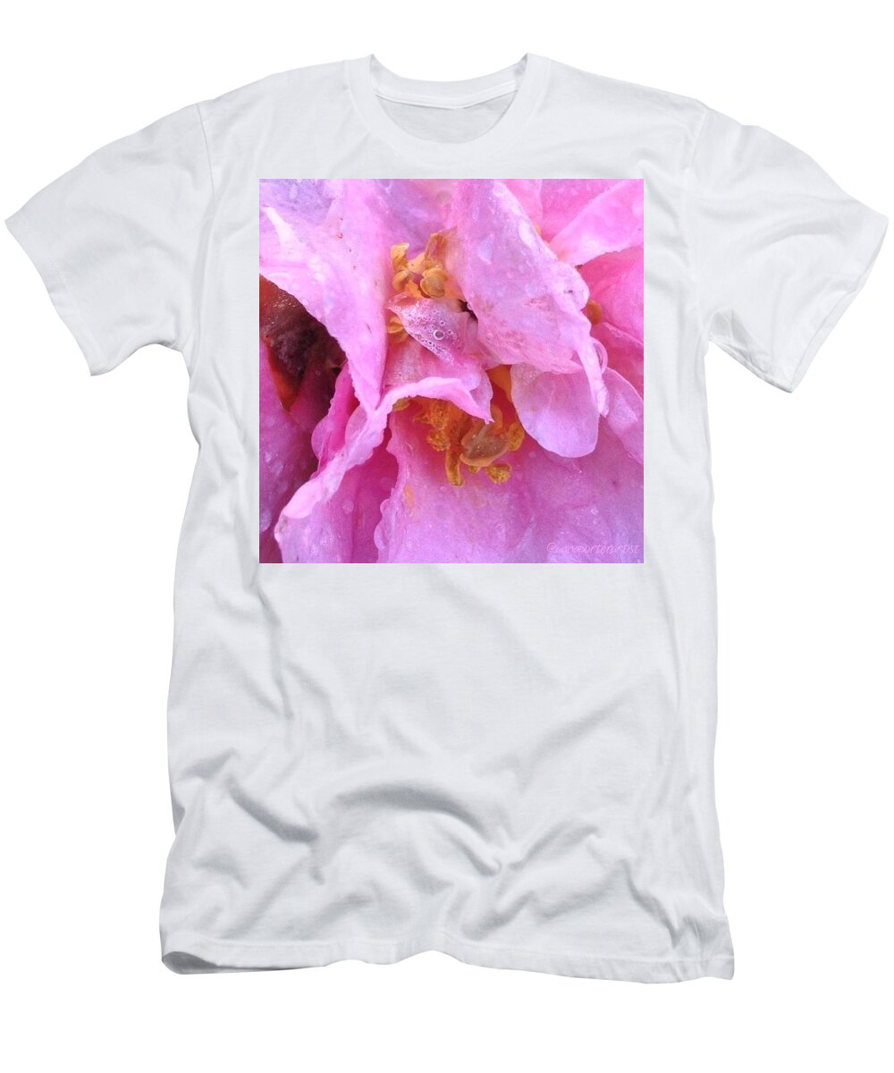 Camellia Parts T-Shirt featuring the photograph Camellia Parts by Anna Porter