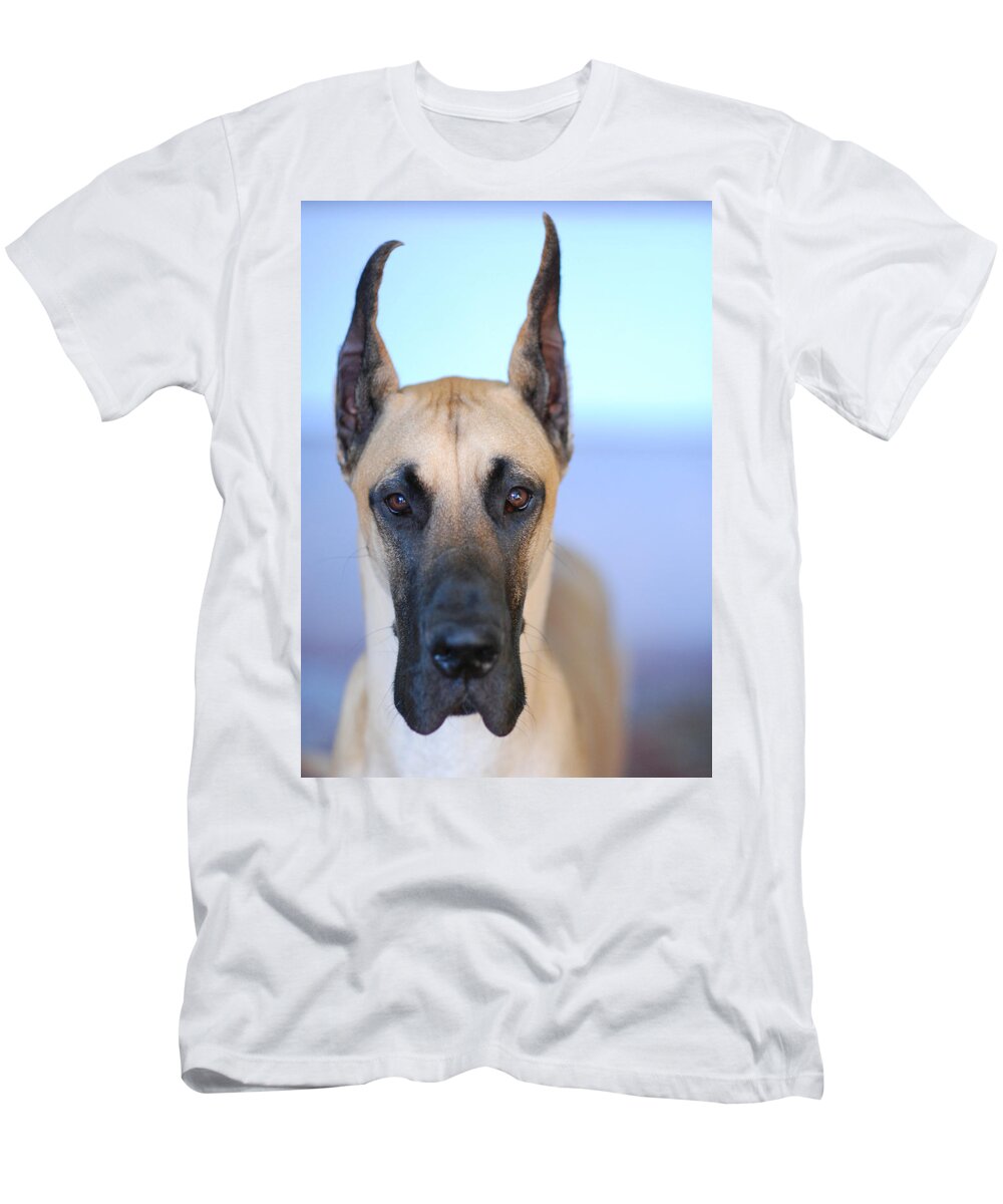 Animal T-Shirt featuring the photograph Cappy by Lisa Phillips