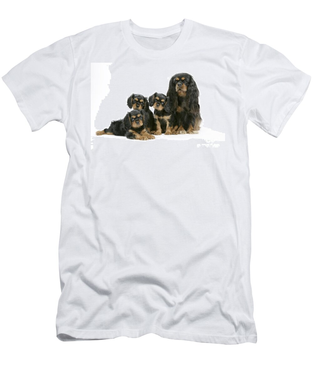 Dog T-Shirt featuring the photograph Cavalier King Charles Spaniels by John Daniels