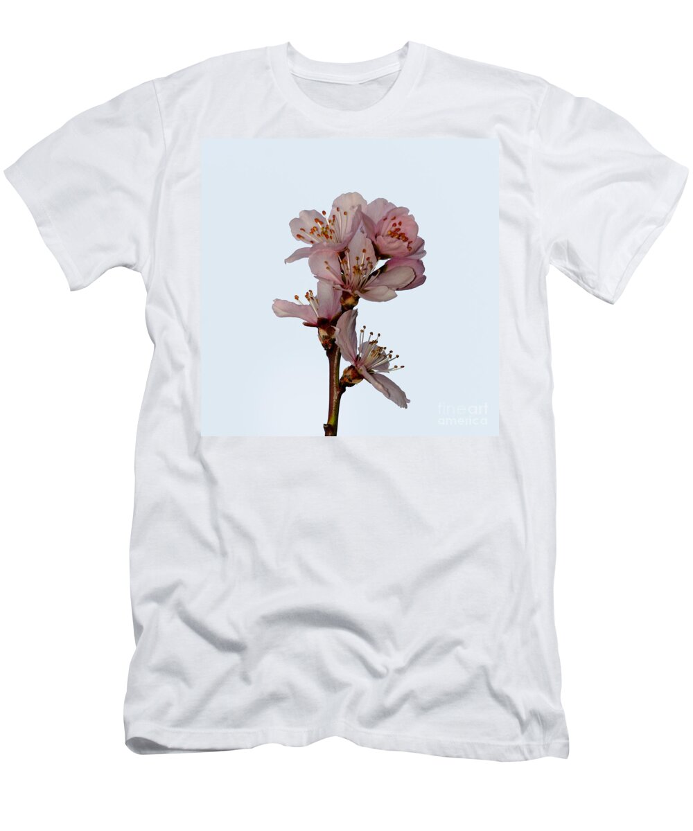 Cherry T-Shirt featuring the photograph Cherry blossom by Steev Stamford