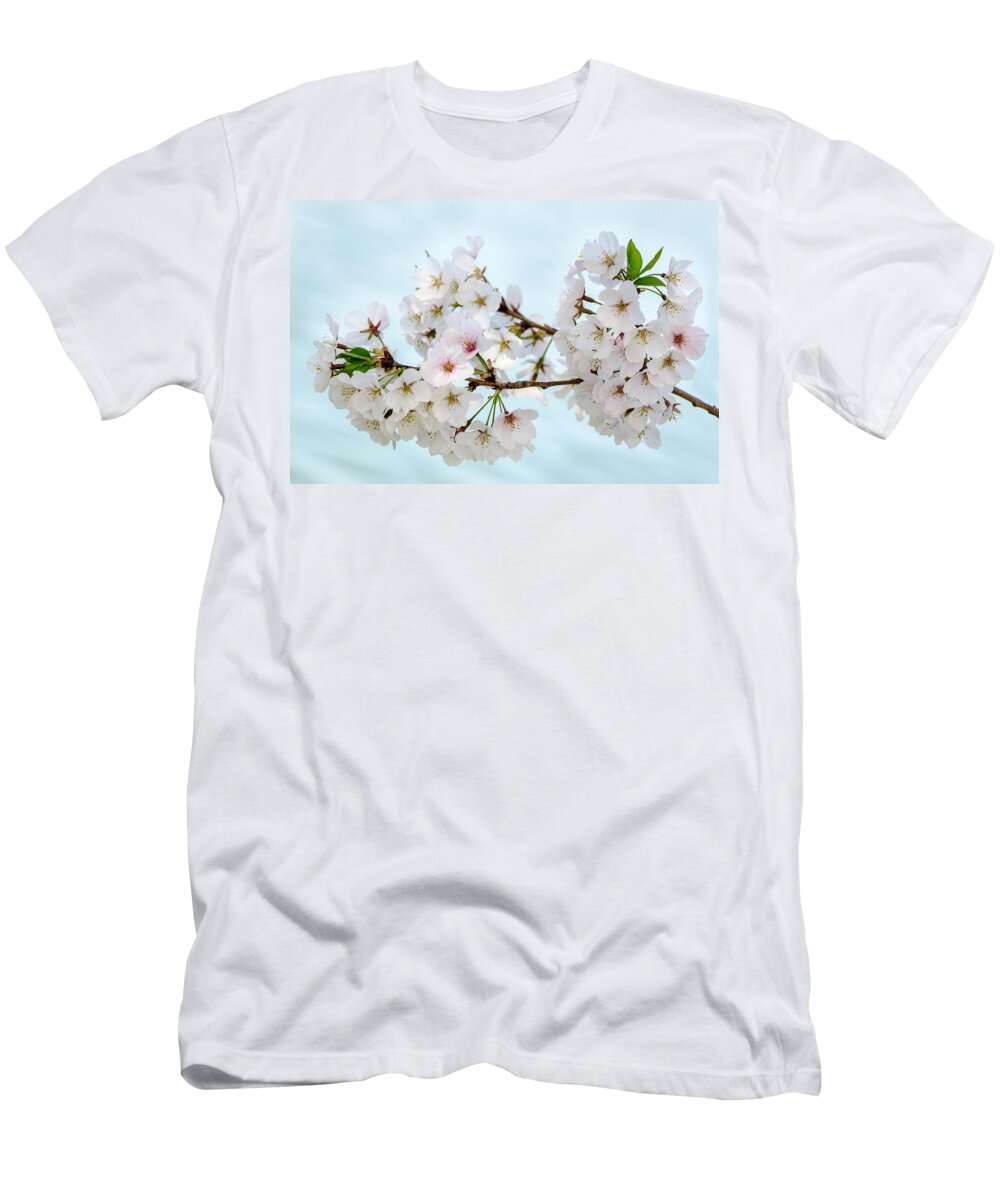 Dc Cherry Blossom Festival T-Shirt featuring the photograph Cherry Blossoms No. 9146 by Georgette Grossman
