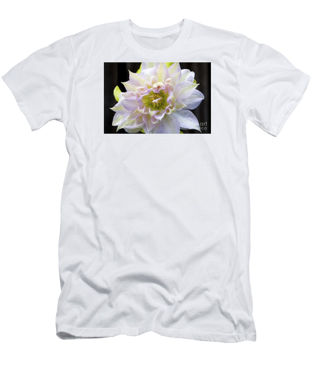 Clematis T-Shirt featuring the photograph Clematis 'Belle of Woking' by Richard J Thompson 