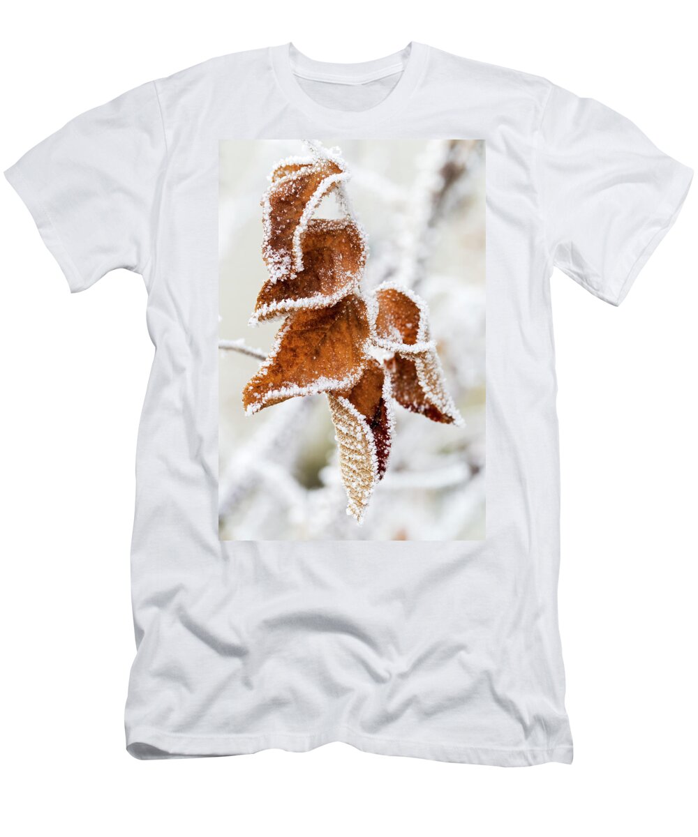 Frozen T-Shirt featuring the photograph Close Up Of Frosted Dried Brown Leaves by Michael Interisano