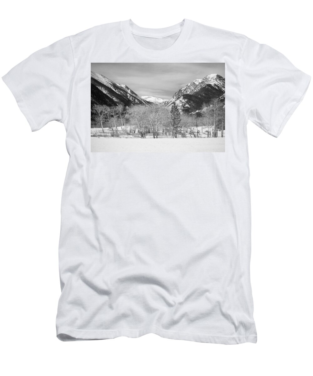 Trees T-Shirt featuring the photograph Colorado Rocky Mountain Winter Horseshoe Park BW by James BO Insogna