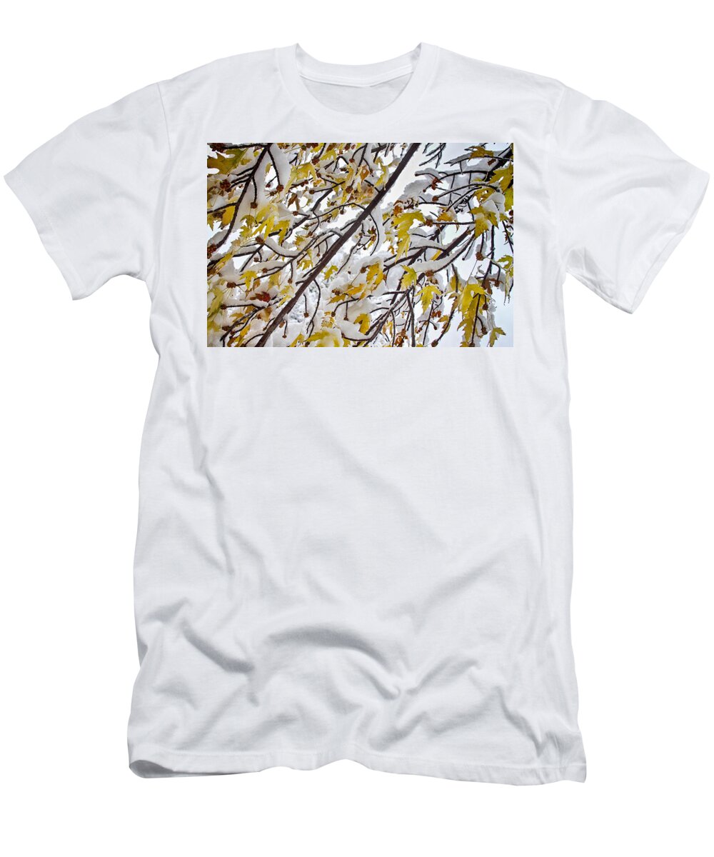 Tree T-Shirt featuring the photograph Colorful Maple Tree Branches In The Snow 3 by James BO Insogna