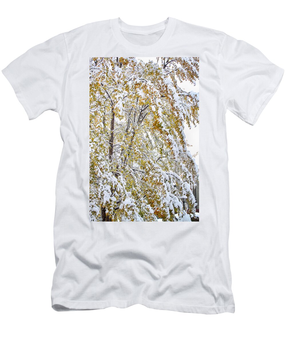 Tree T-Shirt featuring the photograph Colorful Maple Tree In The Snow by James BO Insogna