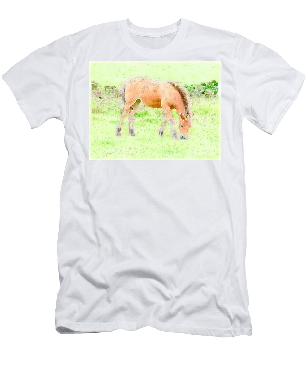 Young Foal Exmoor Pony Somerset Grazing T-Shirt featuring the painting Content by Vix Edwards