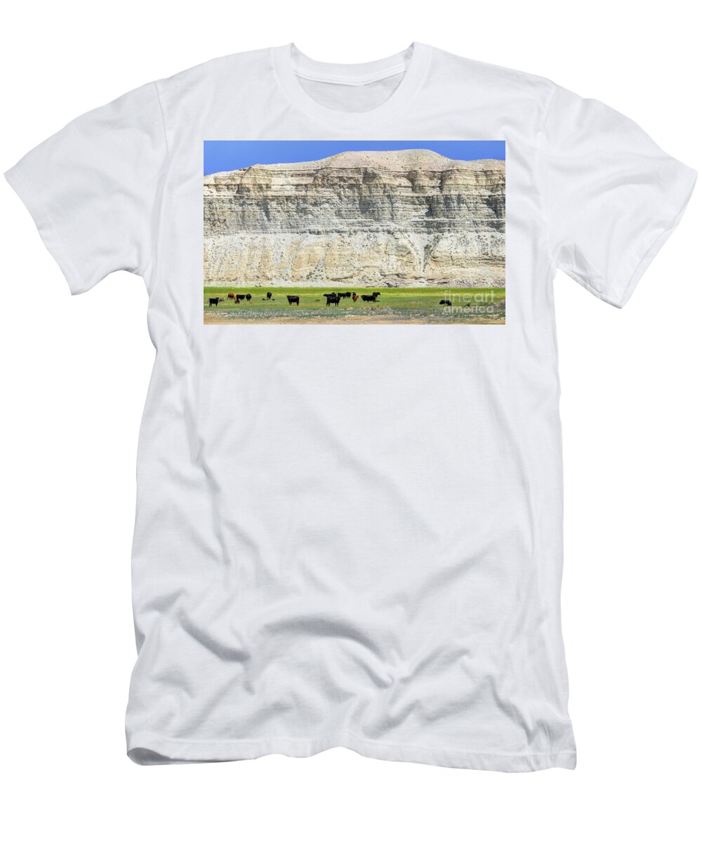 Cows T-Shirt featuring the photograph Grazing Cows Green River Cliffs Thunderstorm by Gary Whitton