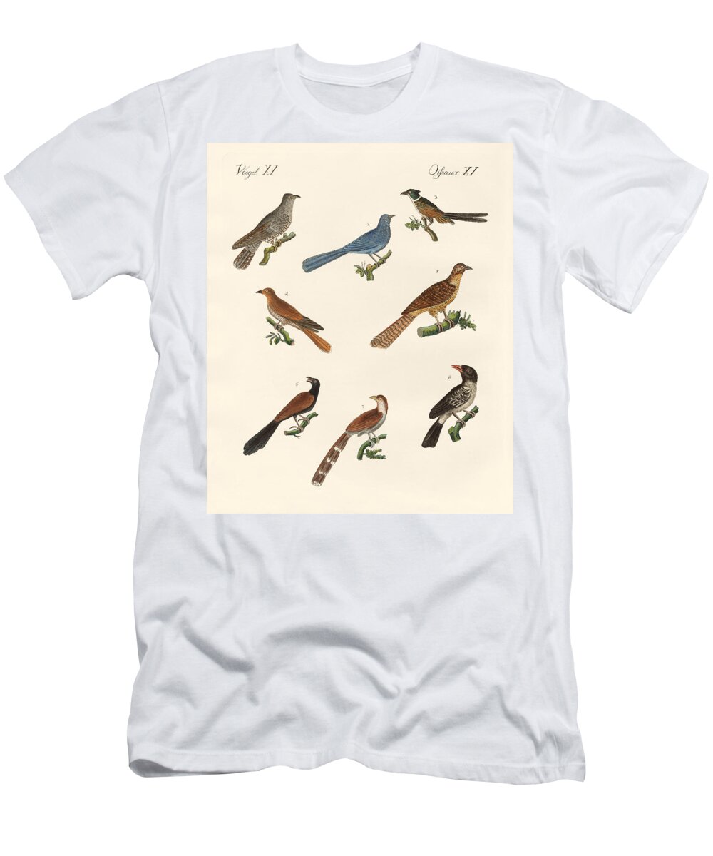 European Cuckoo T-Shirt featuring the drawing Cuckoos from various countries by Splendid Art Prints