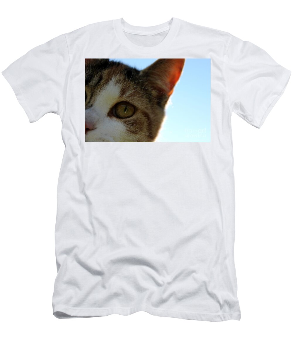 Cat T-Shirt featuring the photograph Curious Cat by Janice Byer