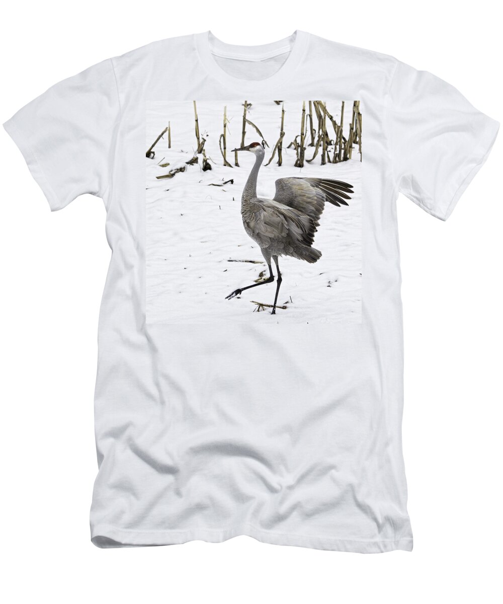Sandhill Crane T-Shirt featuring the photograph Dancing Sandhill Crane by Thomas Young