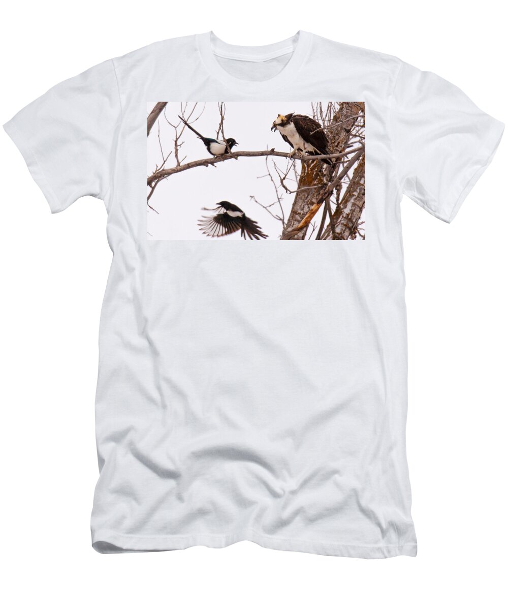 Osprey T-Shirt featuring the photograph Defending Dinner by Kevin Dietrich
