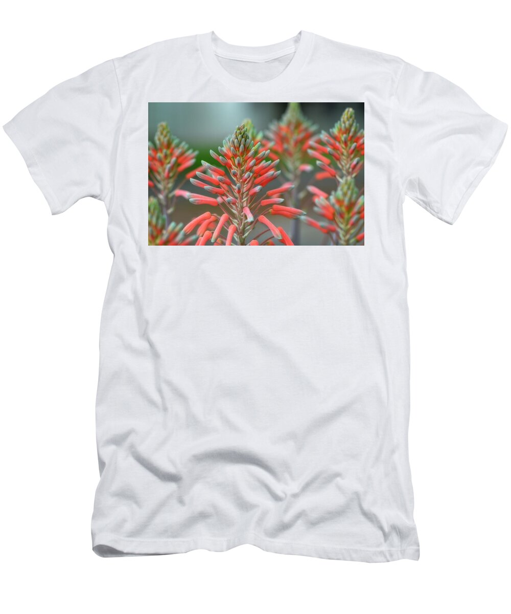 Aloe T-Shirt featuring the photograph Delicate Aloe - Botanical Photography by Sharon Cummings by Sharon Cummings