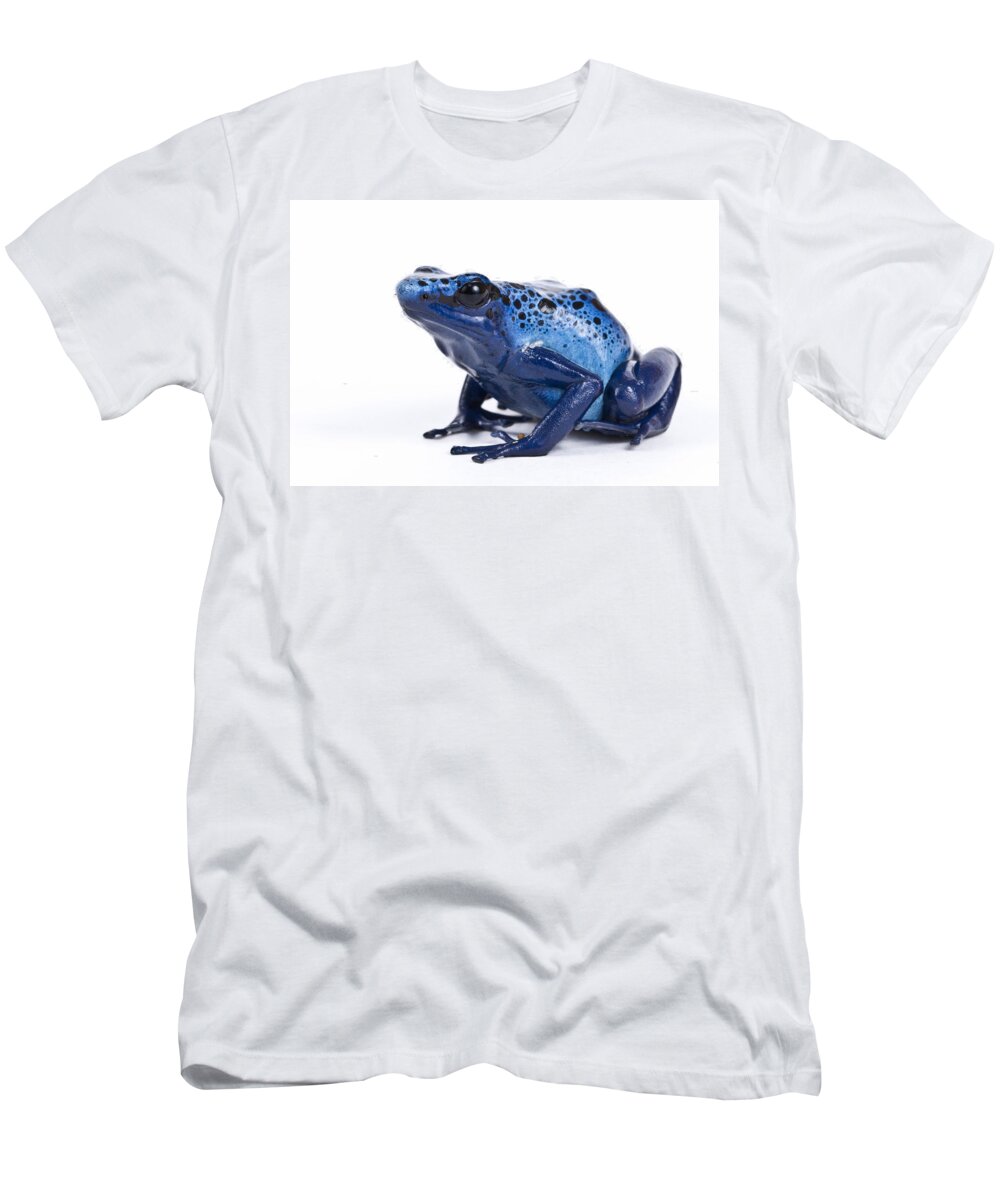 Animal T-Shirt featuring the photograph Dendrobates Azureus by David Kenny