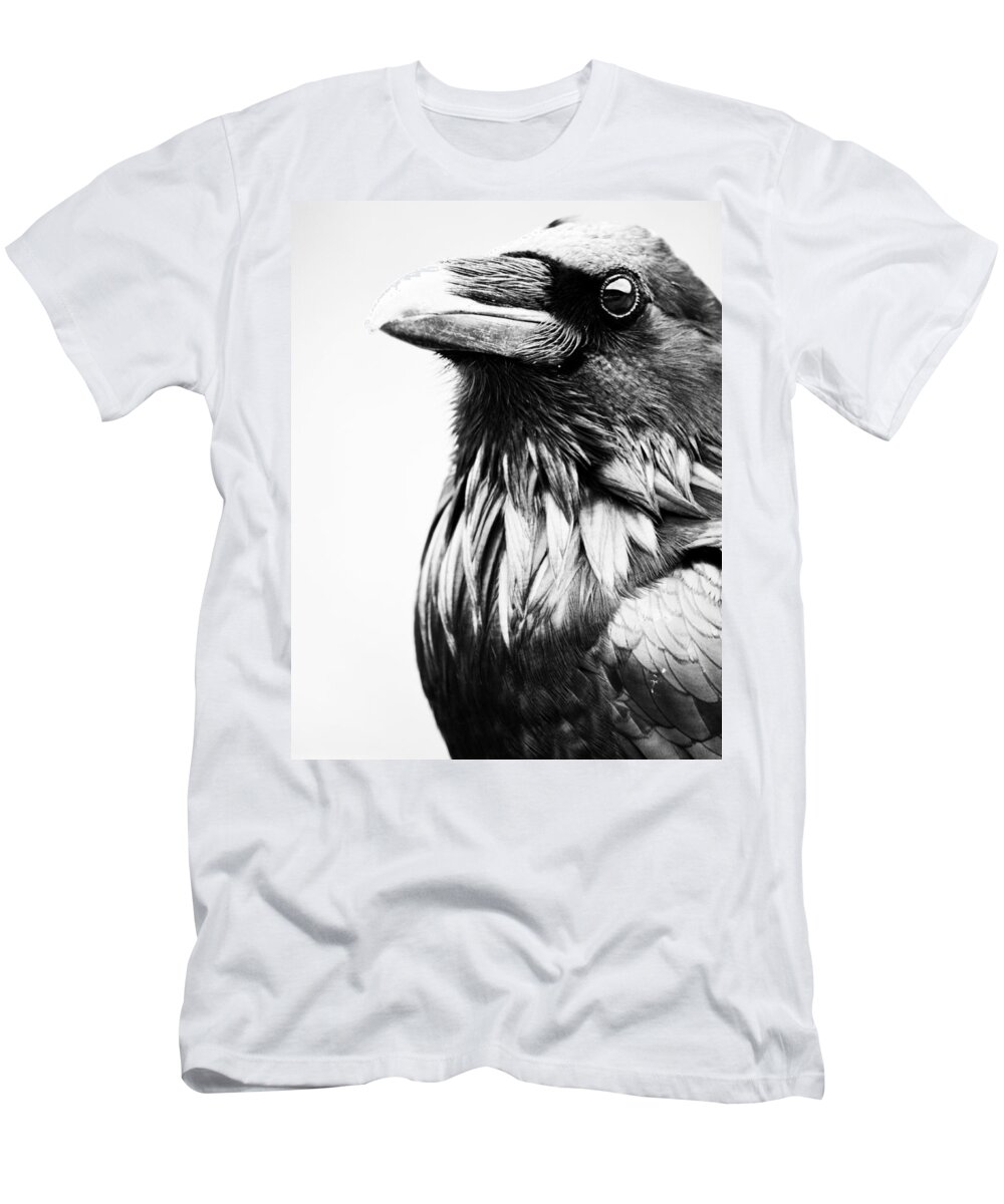 Bird T-Shirt featuring the photograph Direction Of The Blackbird by J C