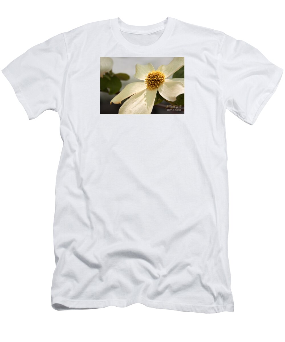 California T-Shirt featuring the photograph Dogwood Bloom by Alice Cahill