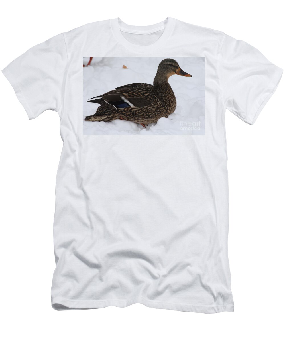 Duck Playing In The Snow T-Shirt featuring the photograph Duck Playing in the Snow by John Telfer