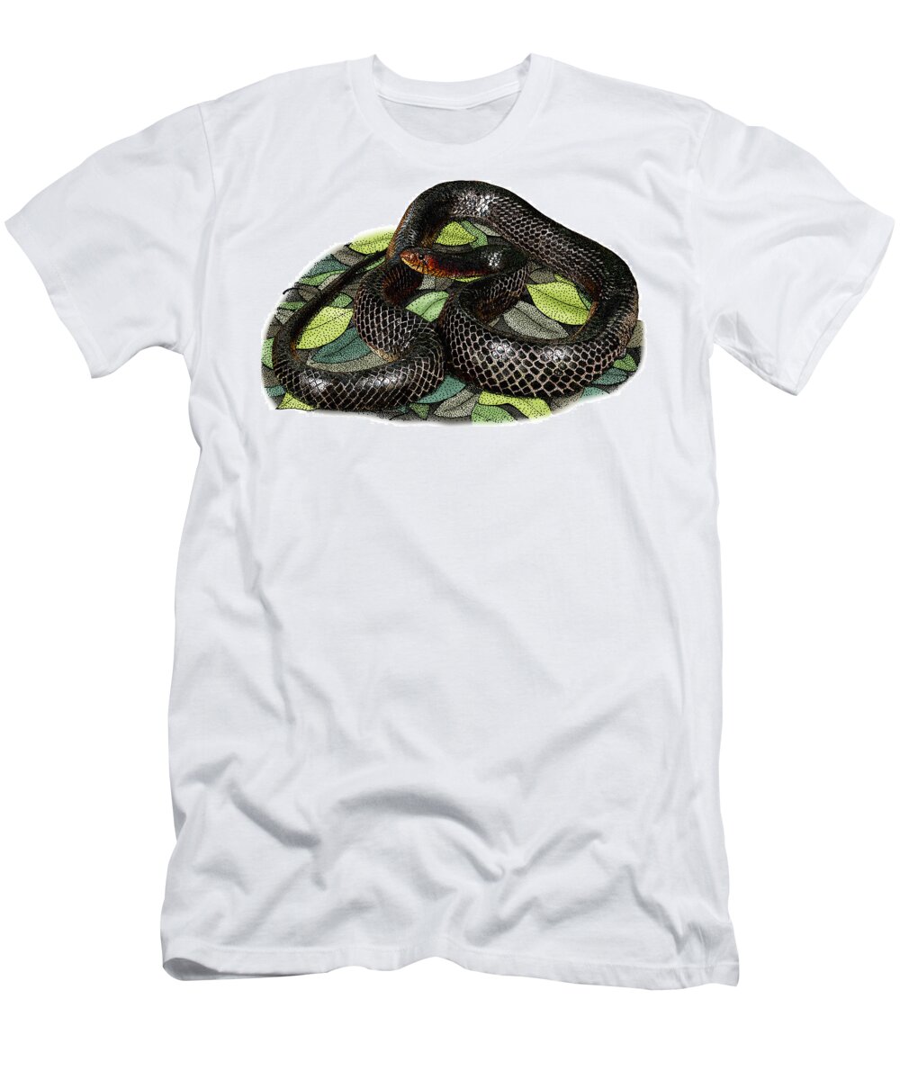Eastern Indigo Snake T-Shirt featuring the photograph Eastern Indigo Snake, Illustration by Roger Hall