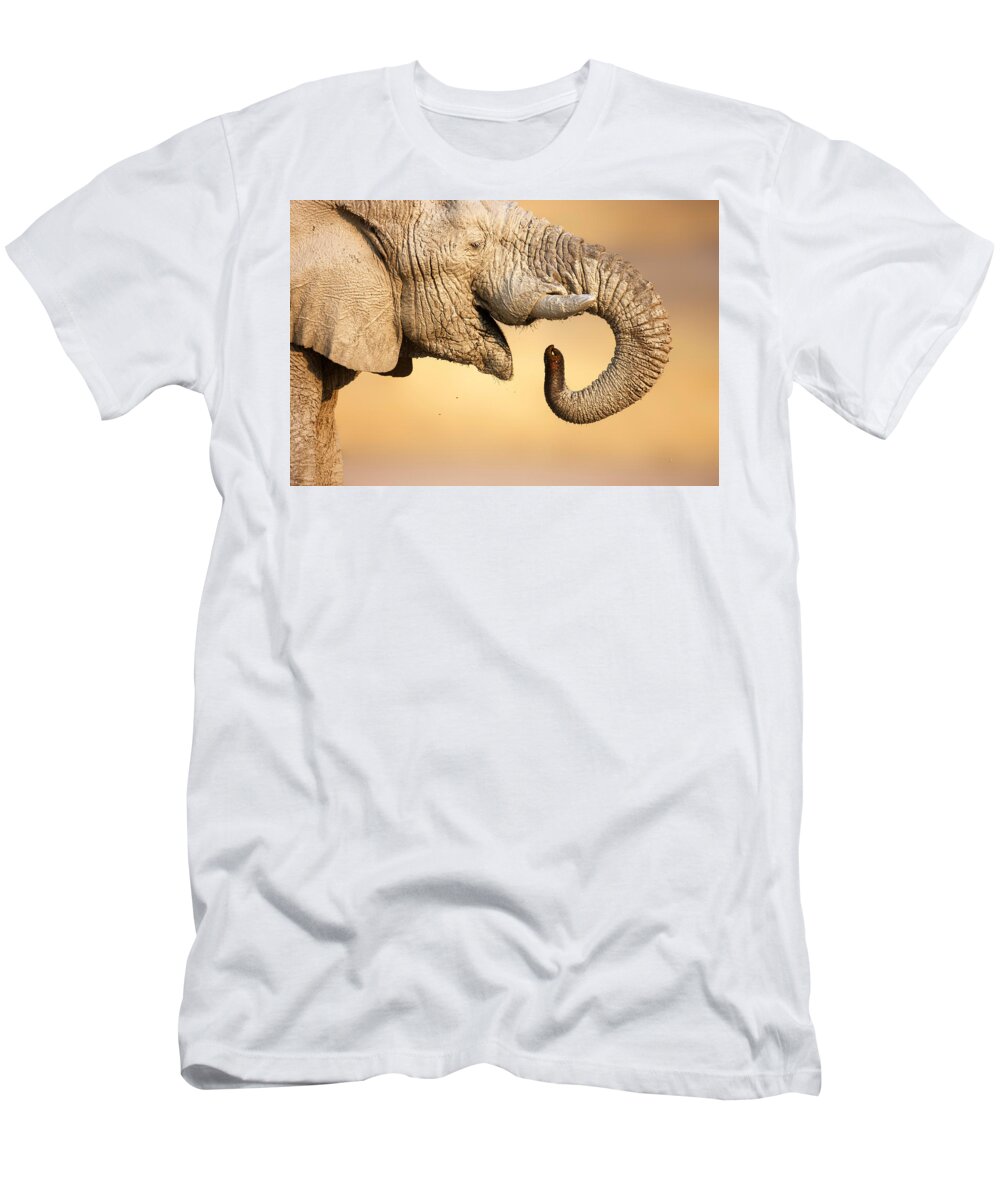 Elephant; Drink; Water; Close-up; Trunk; Profile; Mud; Muddy; Portrait; Wild; Animal; Wildlife; Mammal; African; Safari Animal; Loxodanta; Africana; Mouth; Curled; Full; Up; Closeup; Close; Up; One; Nobody; Side; View; Large; Head T-Shirt featuring the photograph Elephant drinking by Johan Swanepoel