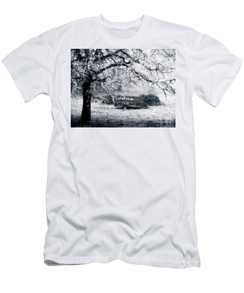 Landscape T-Shirt featuring the photograph Enchanted Pasture by Rory Siegel