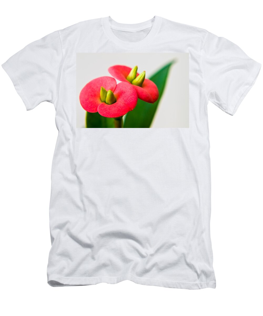 Euphorbia Milli T-Shirt featuring the photograph Euphorbia milli by Davorin Mance