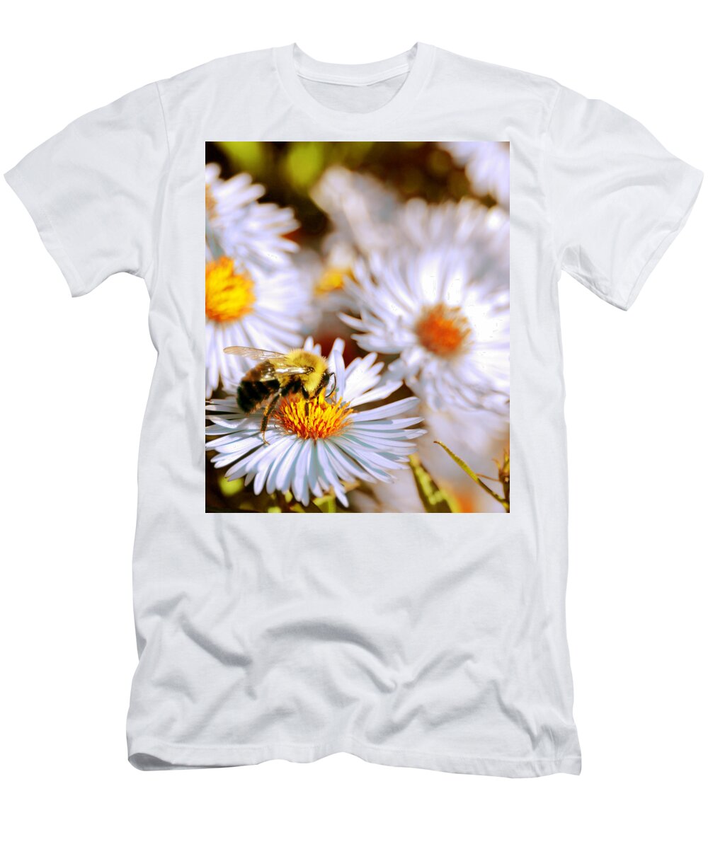 Bee T-Shirt featuring the photograph Flowering bee by Optical Playground By MP Ray