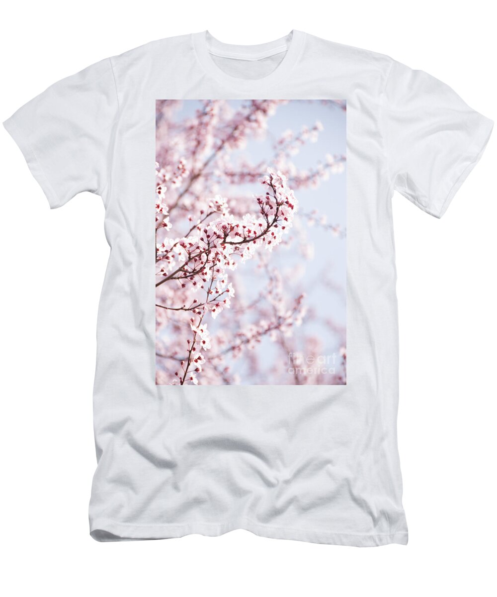 Bloom T-Shirt featuring the photograph Flowering Tree in Spring by Juli Scalzi