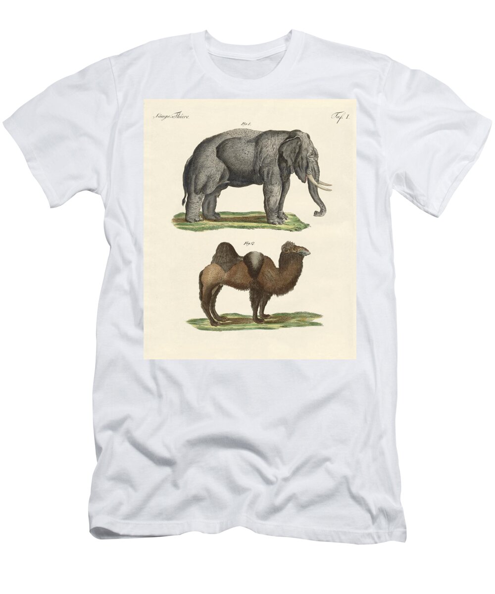 Bertuch T-Shirt featuring the drawing Four-footed animals by Friedrich Justin Bertuch