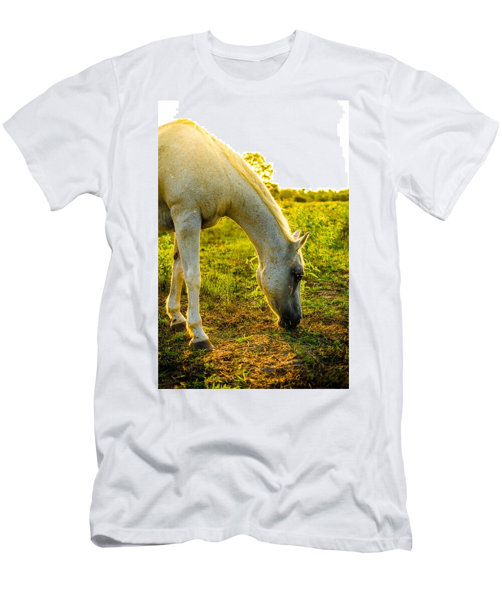 Horse T-Shirt featuring the photograph Freckles at Sunset by David Morefield