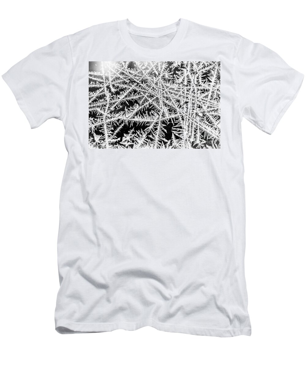 Frost T-Shirt featuring the photograph Funky Frost by Cheryl Baxter