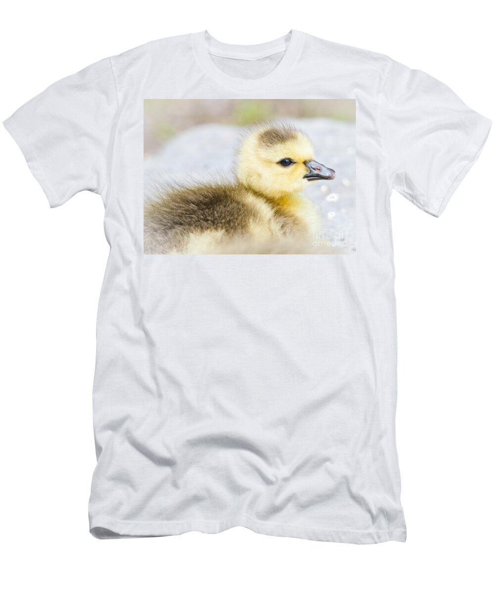 Gosling T-Shirt featuring the photograph Fuzzy Cuteness by Cheryl Baxter