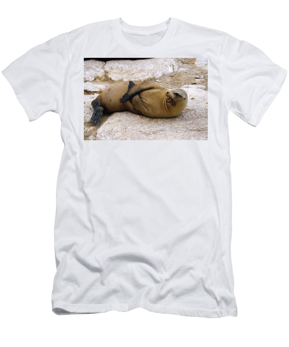 Feb0514 T-Shirt featuring the photograph Galapagos Sea Lion Calling by Konrad Wothe