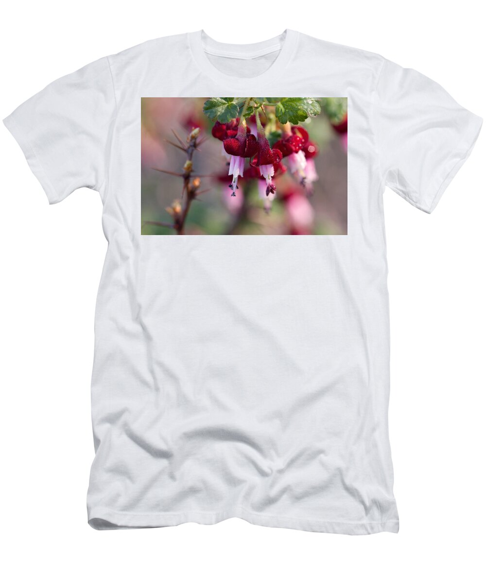 Gooseberry T-Shirt featuring the photograph Gooseberry Flowers by Peggy Collins