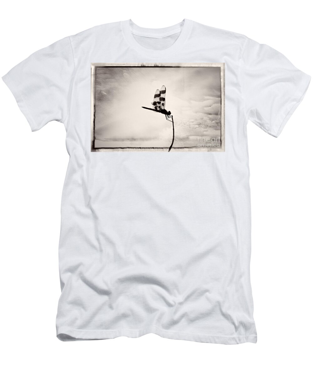 Dragonfly T-Shirt featuring the photograph Grasping At Straws by Bianca Nadeau