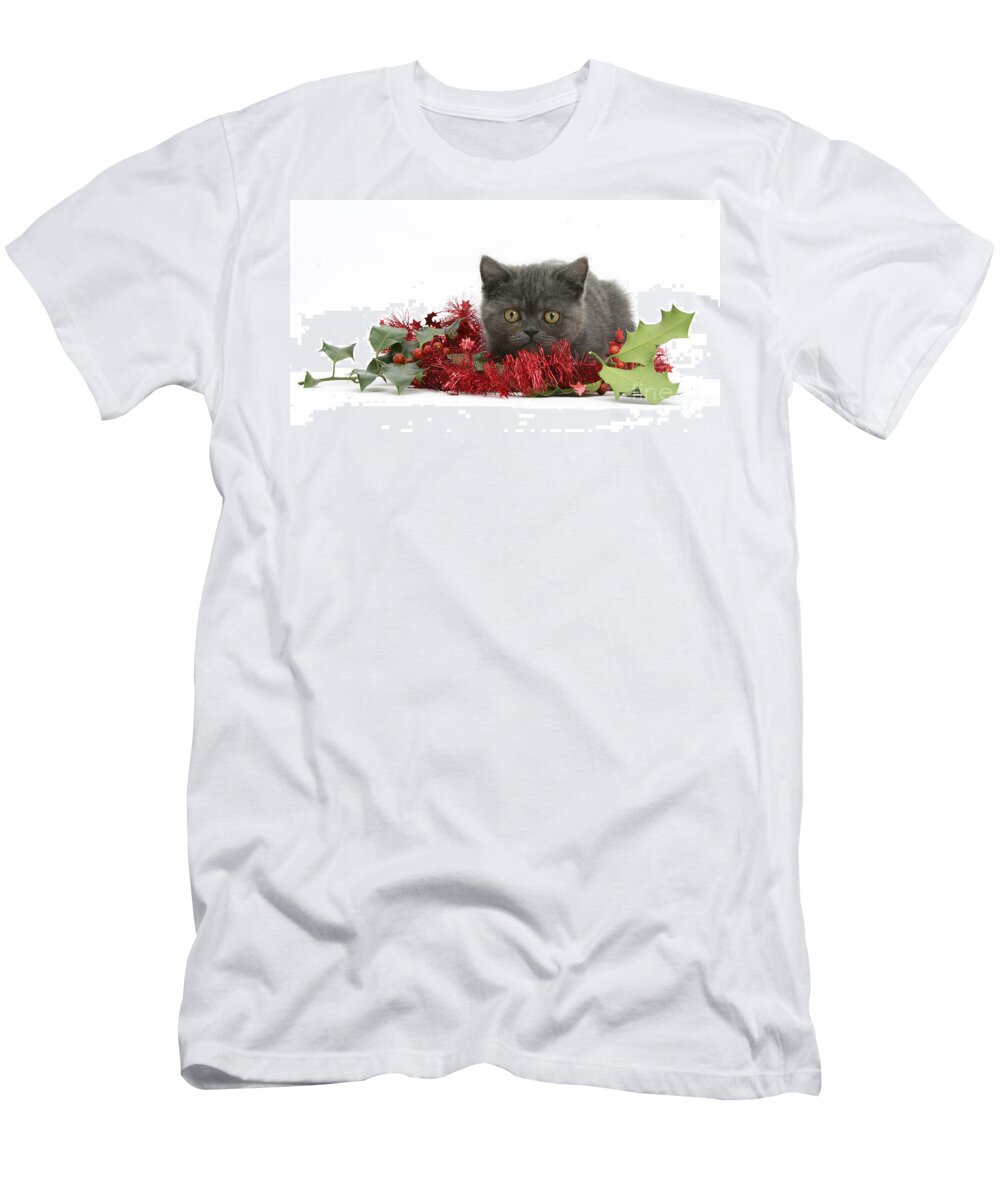 Gray Kitten T-Shirt featuring the photograph Gray Kitten Tinsel And Holly Berries by Mark Taylor