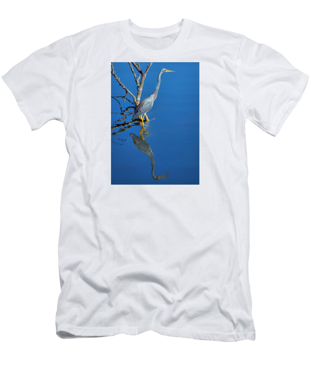 Herons T-Shirt featuring the photograph Tricolored Heron by Nikolyn McDonald